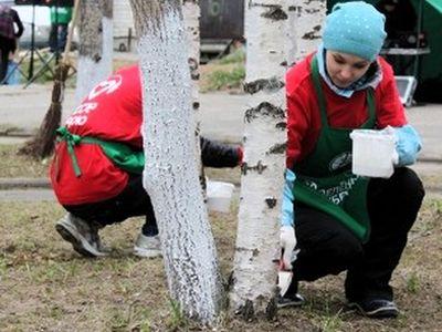 Дончан приглашают на экологическую акцию